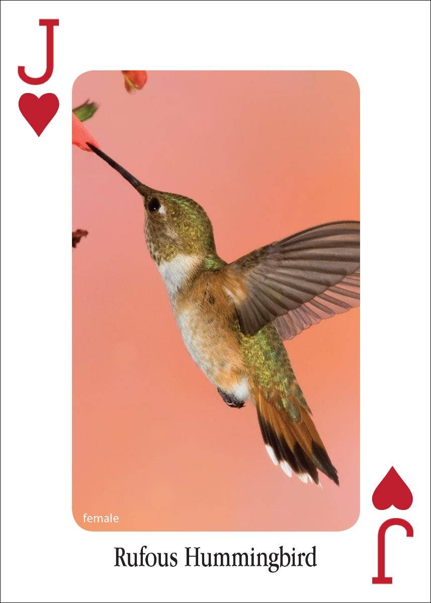 Hummingbirds Playing Cards - Sugar River Shoppe