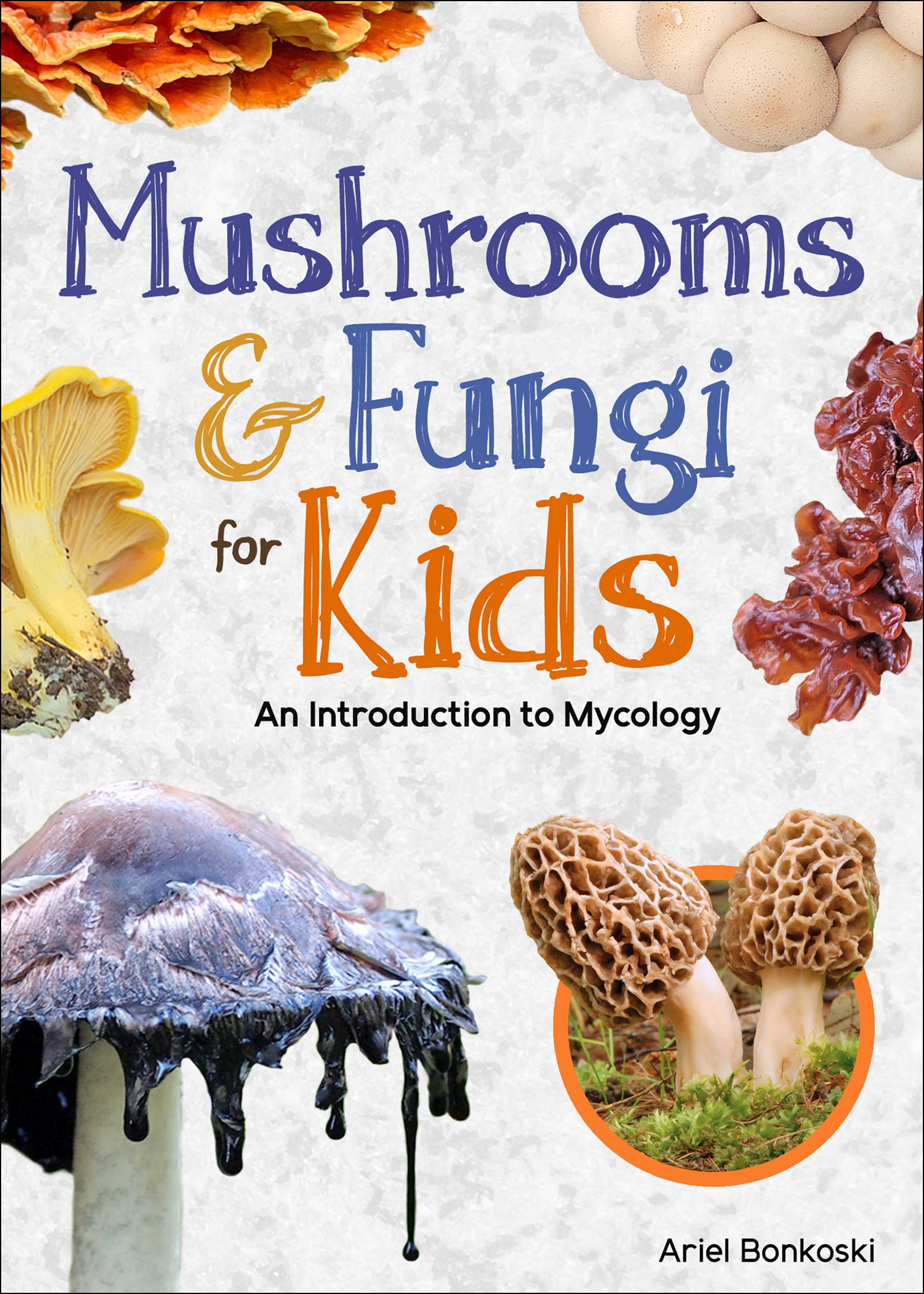 Mushrooms & Fungi for Kids - Sugar River Shoppe