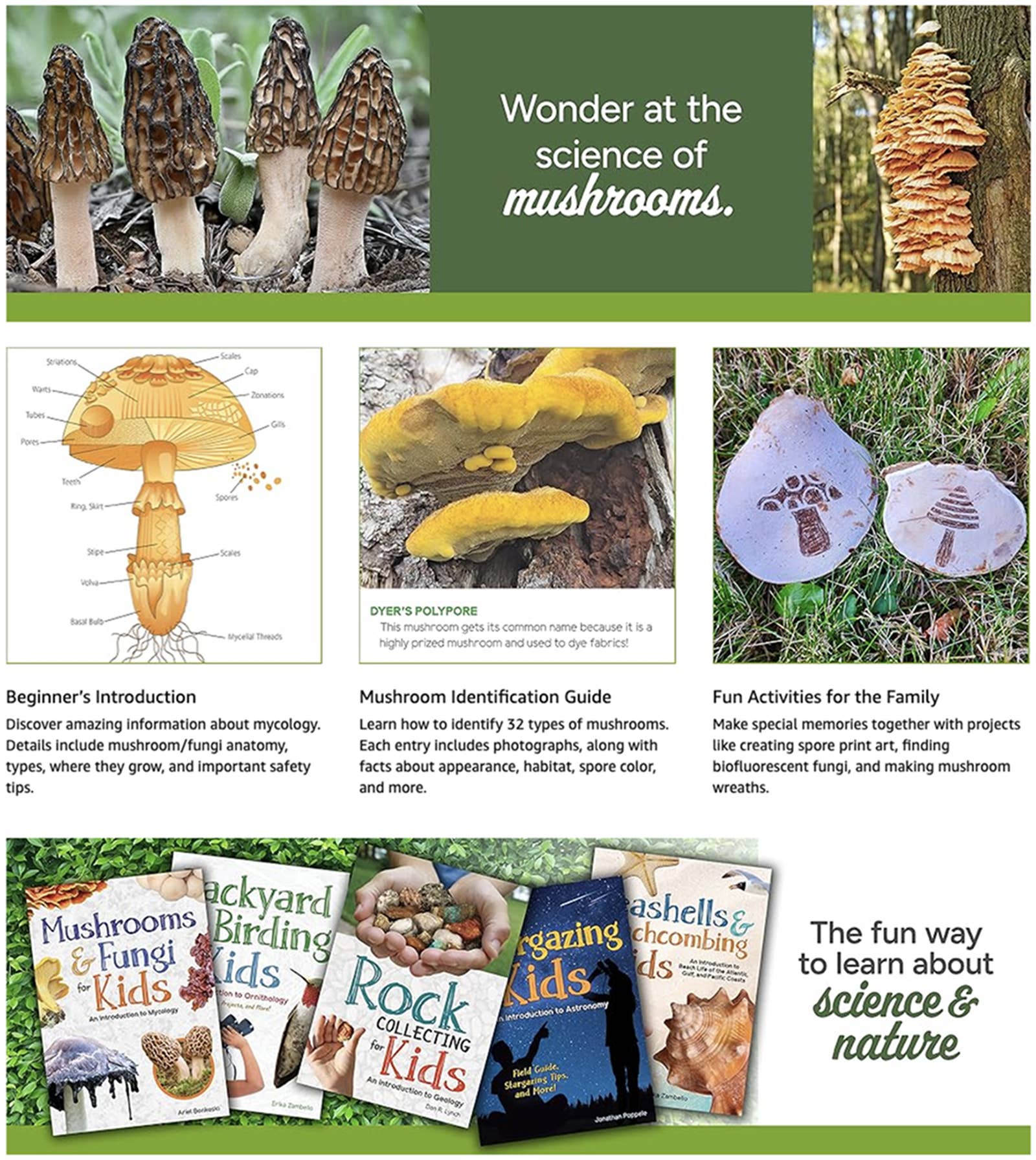 Mushrooms & Fungi for Kids - Sugar River Shoppe