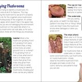 Mushrooms & Fungi for Kids - Sugar River Shoppe