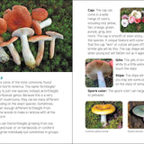 Mushrooms & Fungi for Kids - Sugar River Shoppe