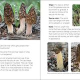 Mushrooms & Fungi for Kids - Sugar River Shoppe