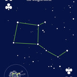 Night Sky Playing Cards - Sugar River Shoppe