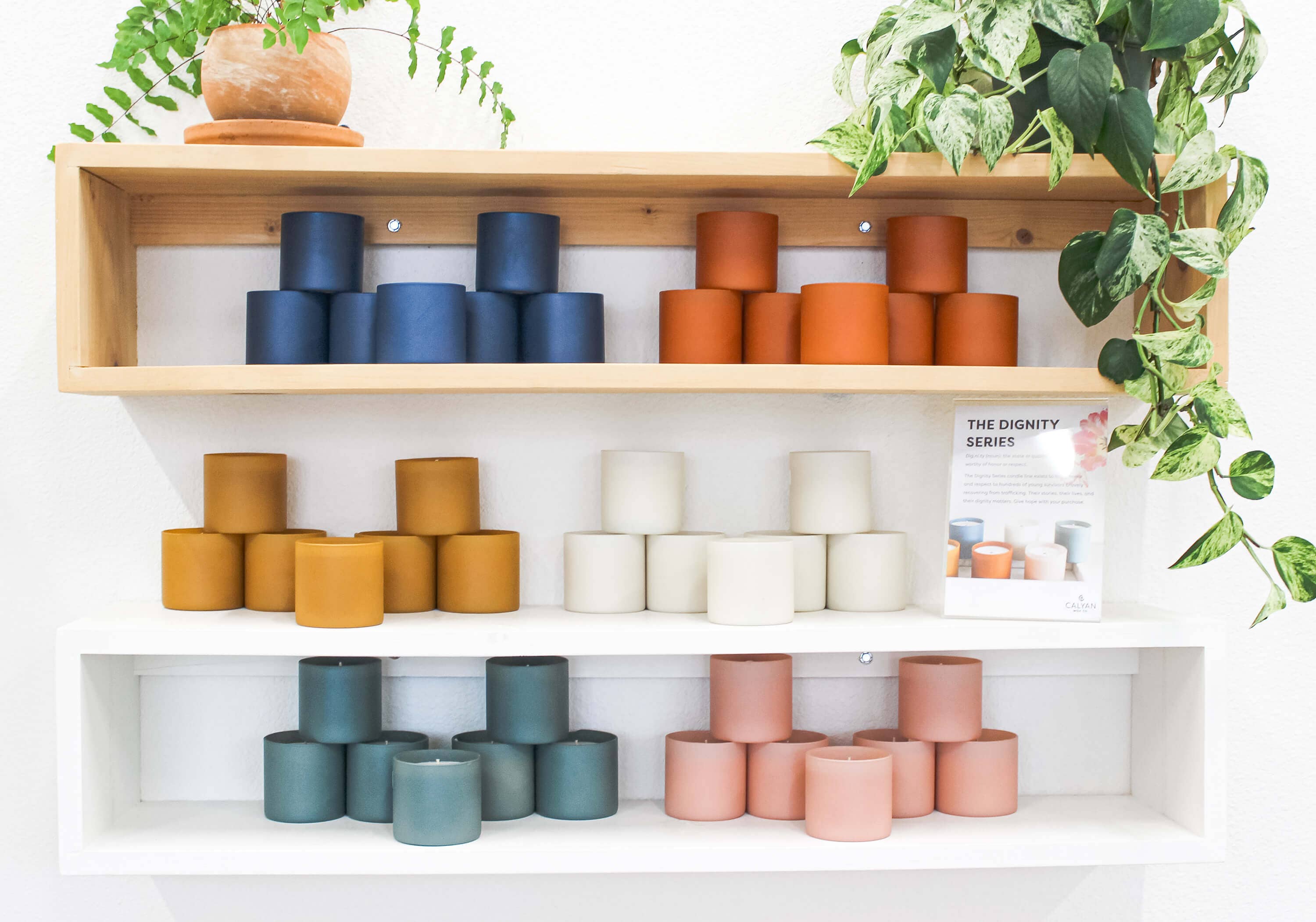 Cedar + Tobacco - Dignity Series Soy Candle - Sugar River Shoppe