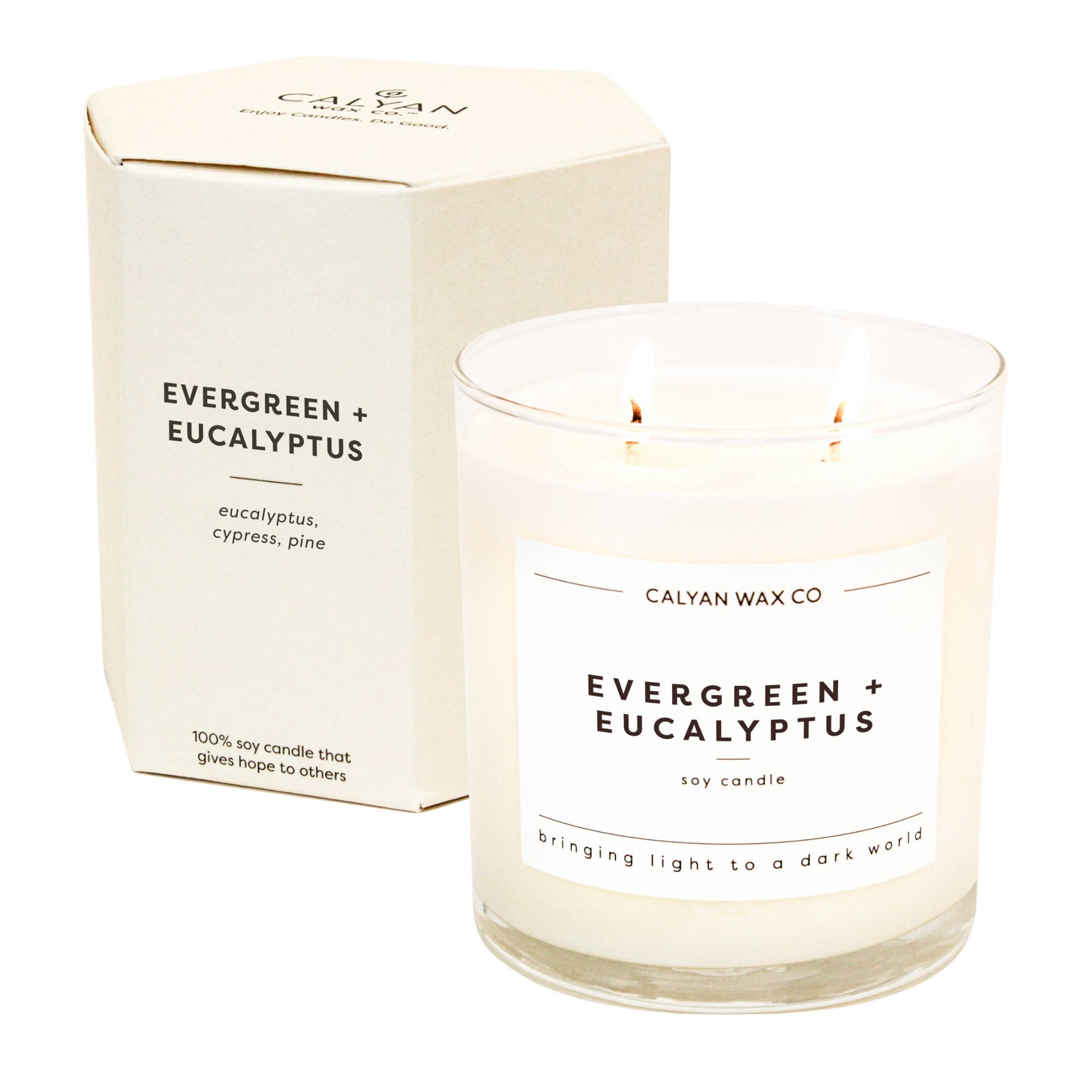Evergreen + Eucalyptus - Glass Tumbler Soy Candle - Sugar River Shoppe
