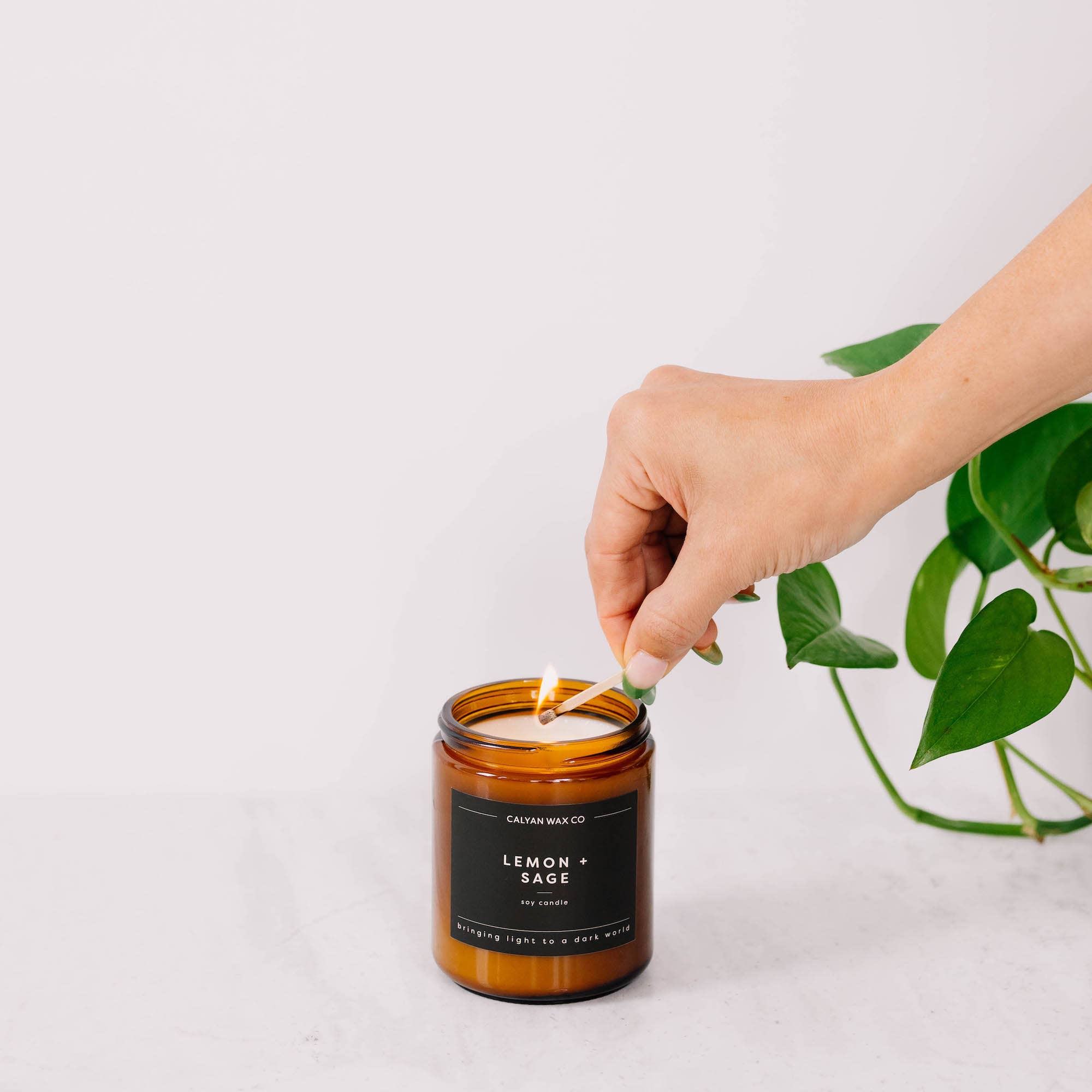 Lemon + Sage - Amber Jar Soy Candle - Sugar River Shoppe