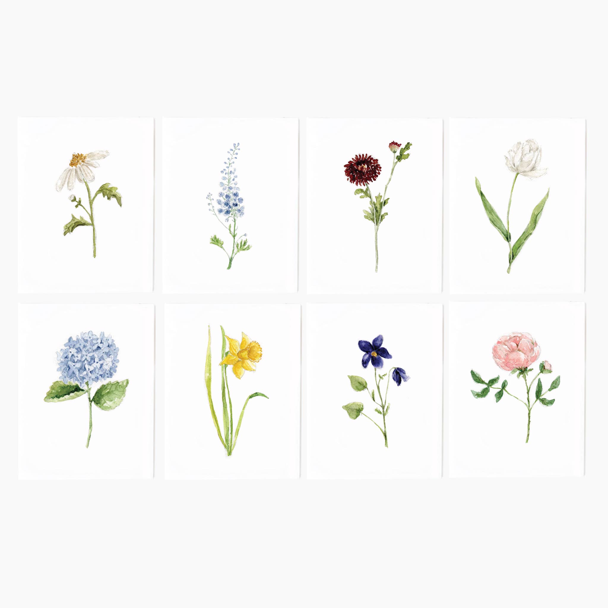 Assorted garden flowers notecard set - Sugar River Shoppe