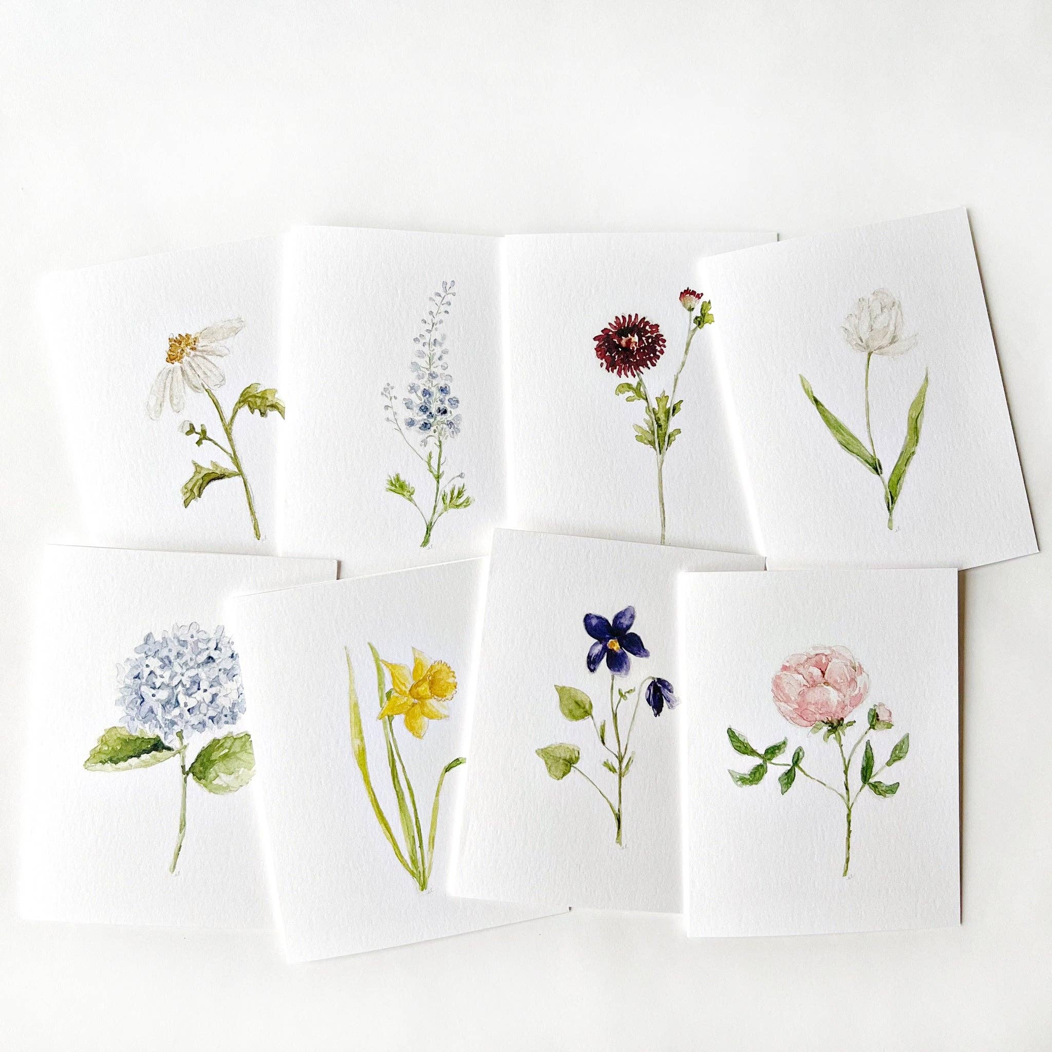 Assorted garden flowers notecard set - Sugar River Shoppe
