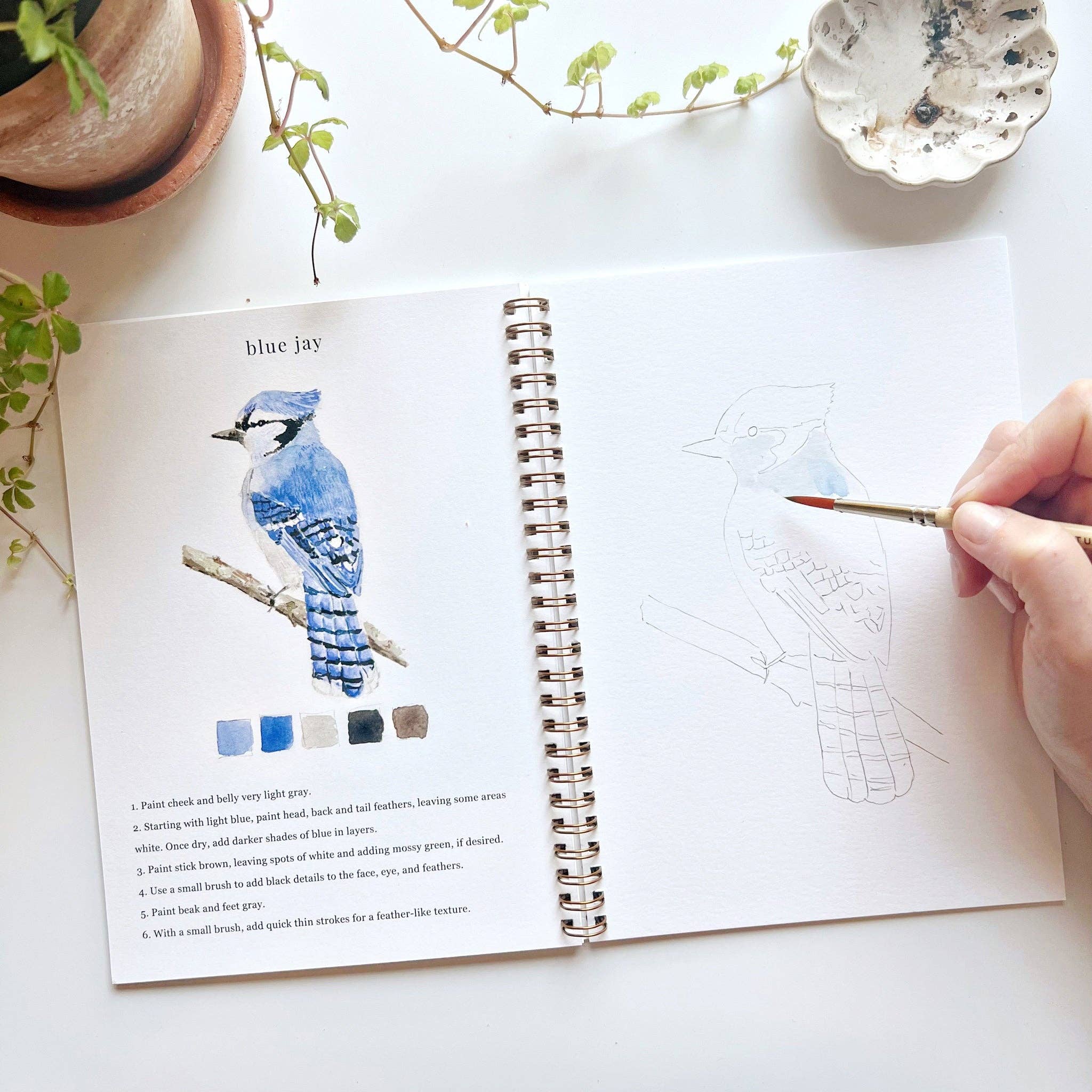 Birds watercolor workbook - Sugar River Shoppe