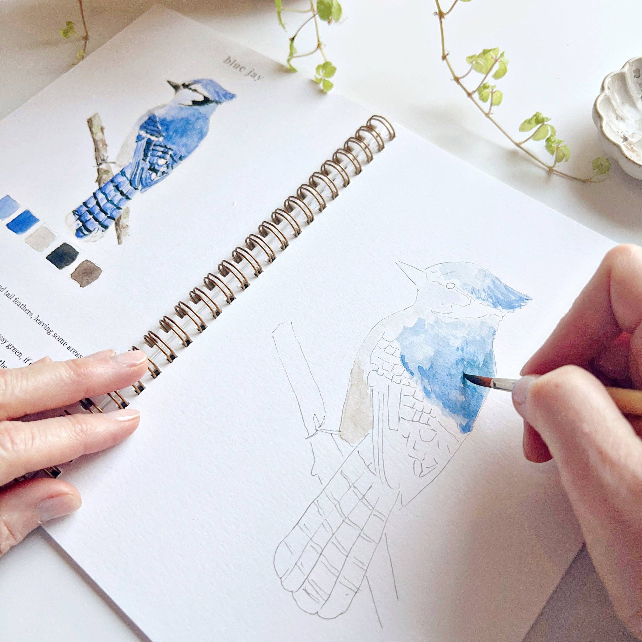 Birds watercolor workbook - Sugar River Shoppe