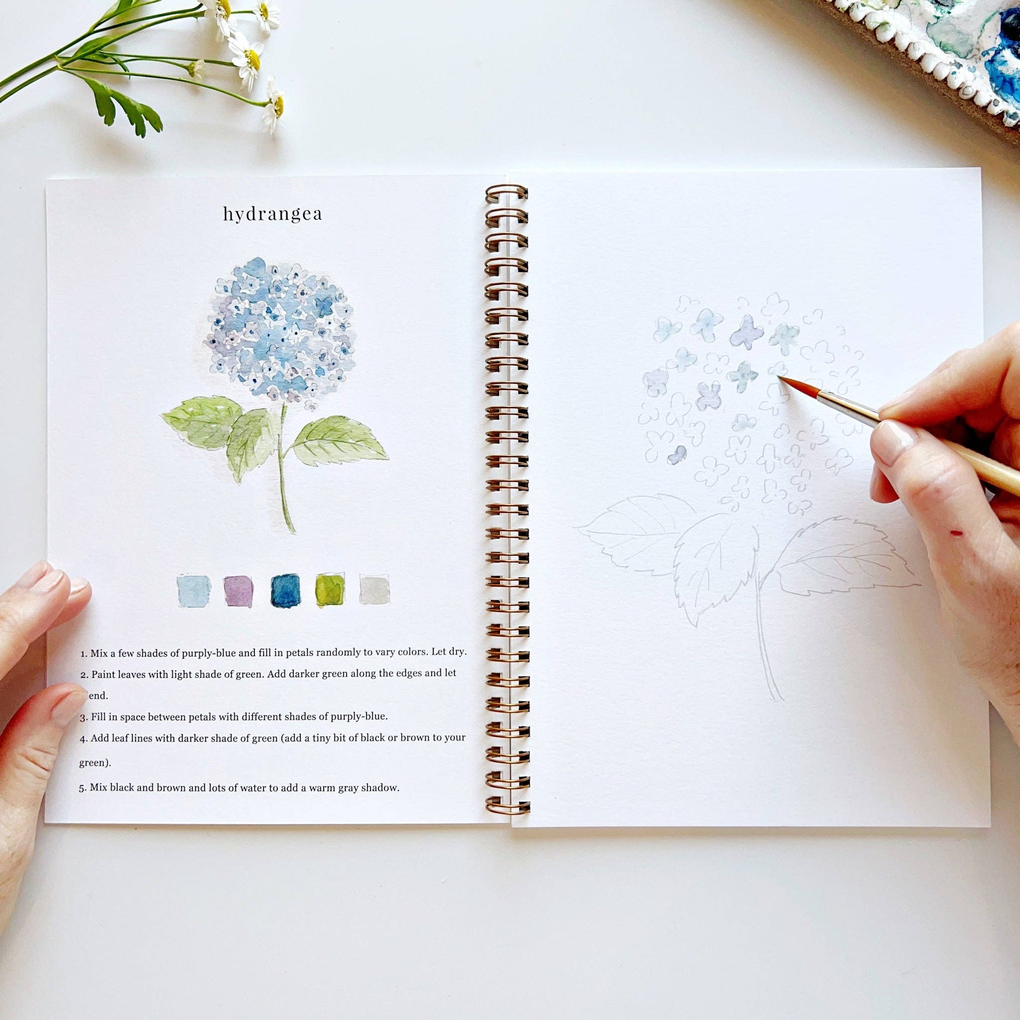 Flowers watercolor workbook - Sugar River Shoppe