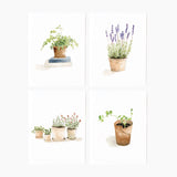 Potted plants notecard set - Sugar River Shoppe