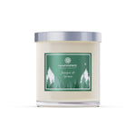 Juniper & Spruce Frosted - Soy Wax  Candle - Frosted - Sugar River Shoppe
