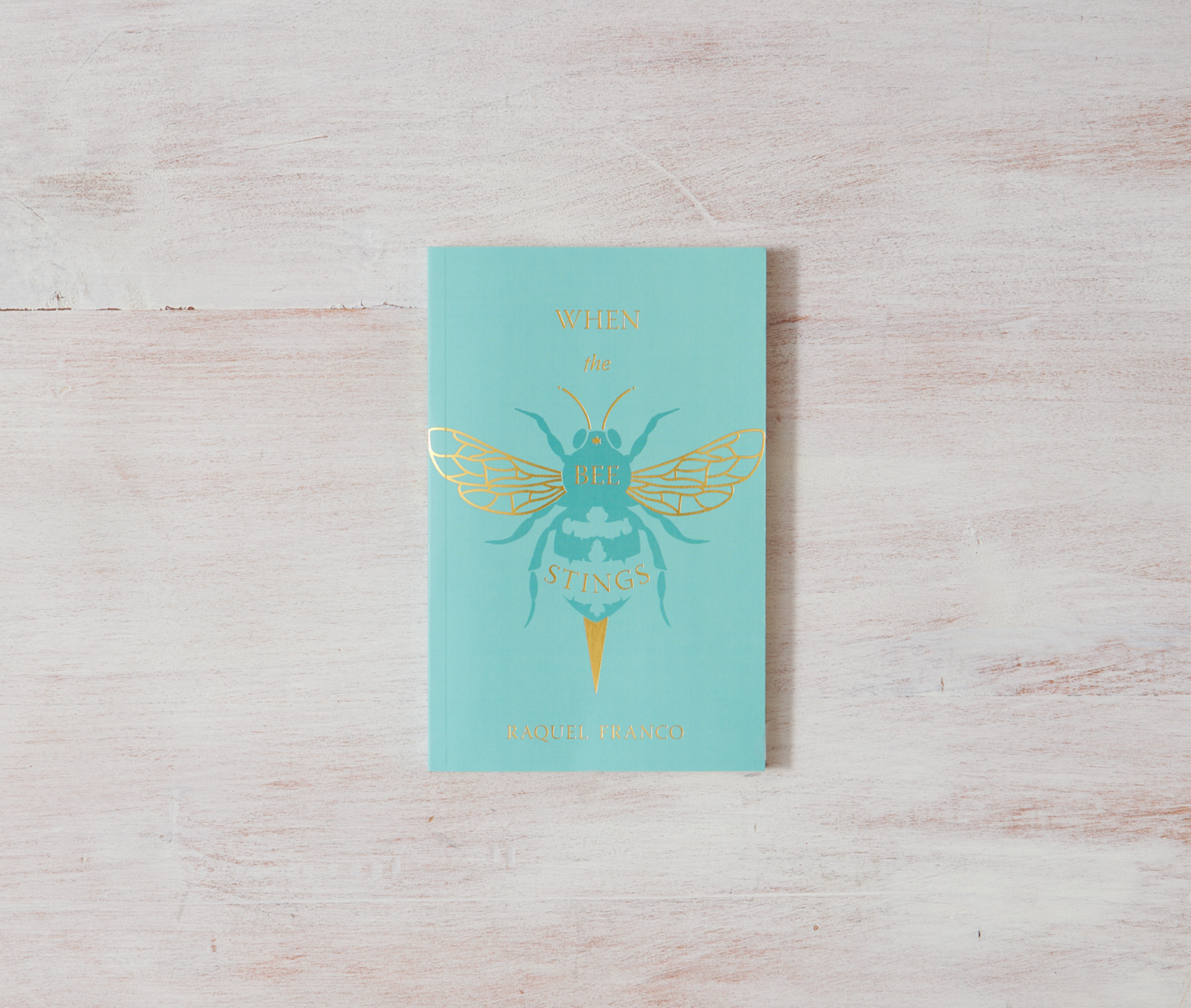 When The Bee Stings - book - Sugar River Shoppe