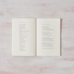 When The Bee Stings - book - Sugar River Shoppe