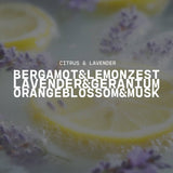 16 oz Butter Jar Candle: Citrus & Lavender - Milkhouse Candle Company - 877558009041 - Sugar River Shoppe - 