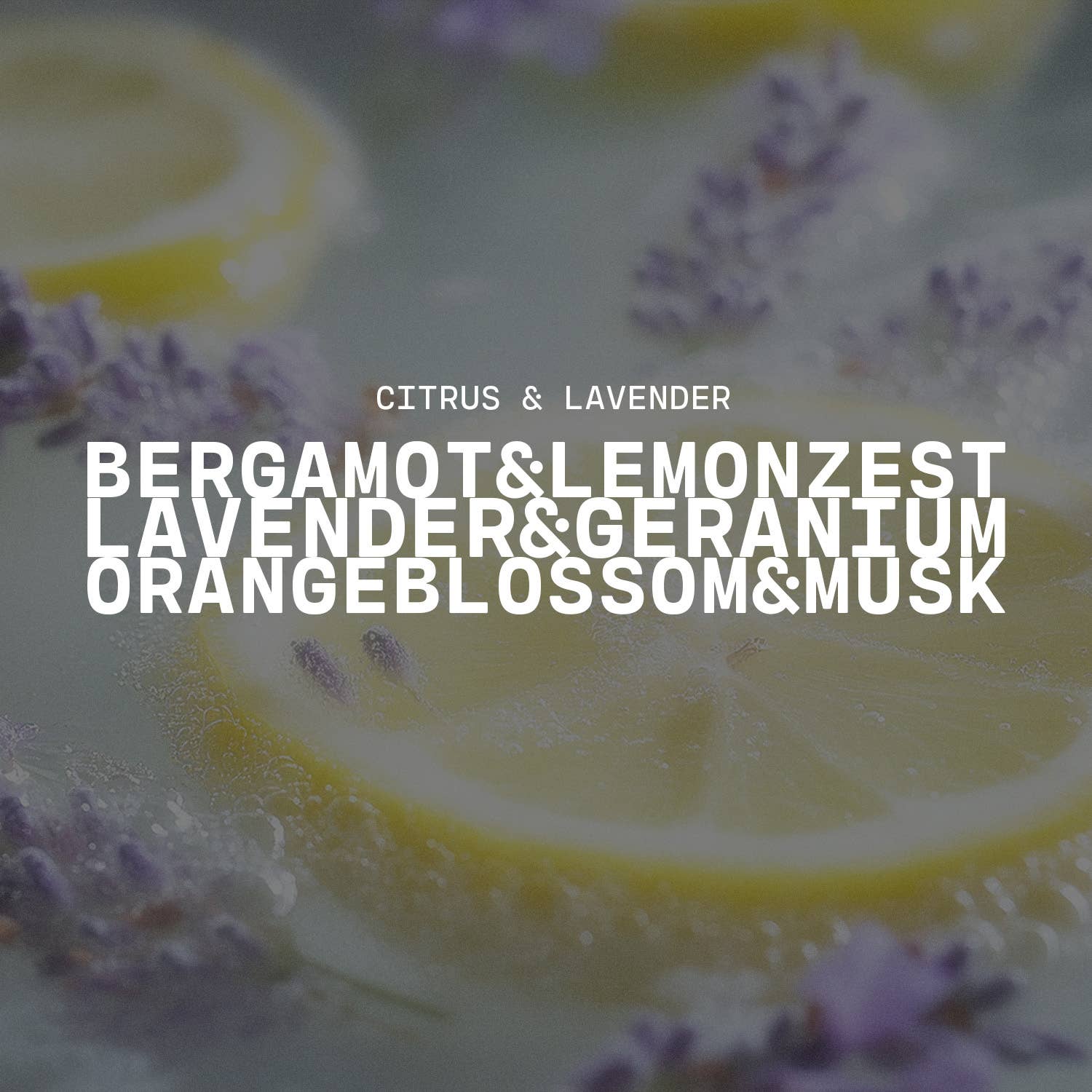 16 oz Butter Jar Candle: Citrus & Lavender - Milkhouse Candle Company - 877558009041 - Sugar River Shoppe - 