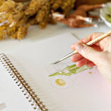 Watercolor Workbook Collection