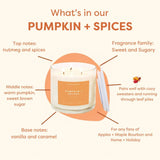 Pumpkin + Spices - 3 Wick Clear Glass Tumbler Soy Candle