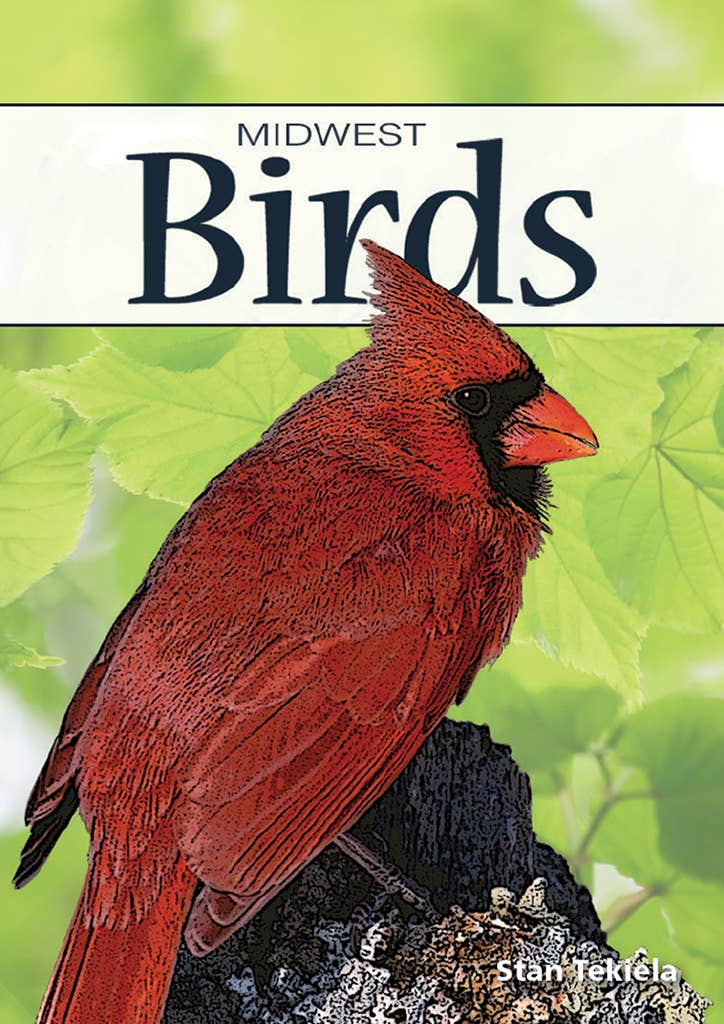 Birds of Midwest Playing Cards - Sugar River Shoppe
