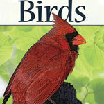 Birds of Midwest Playing Cards - Sugar River Shoppe