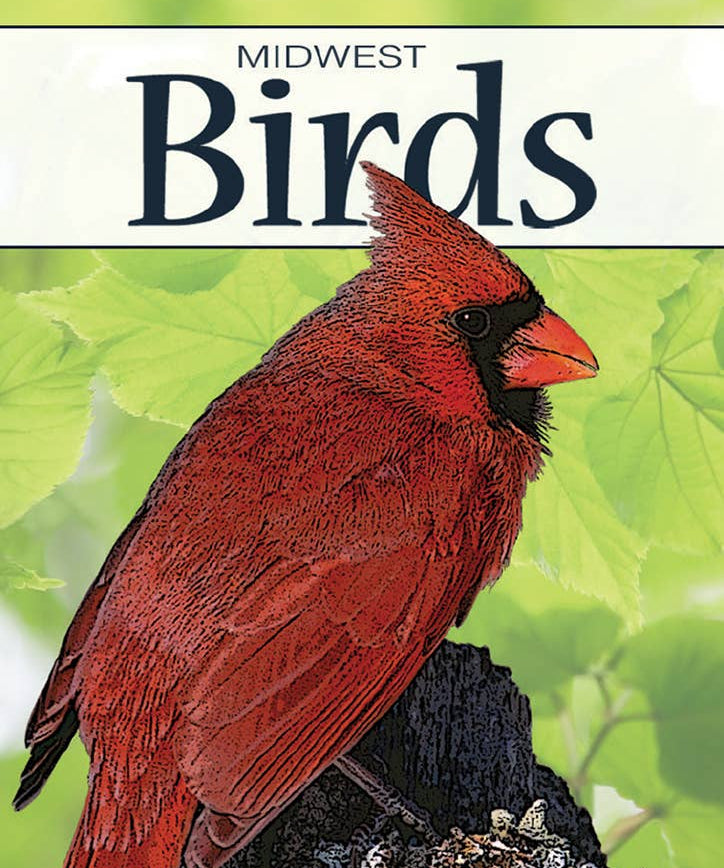 Birds of Midwest Playing Cards - Sugar River Shoppe