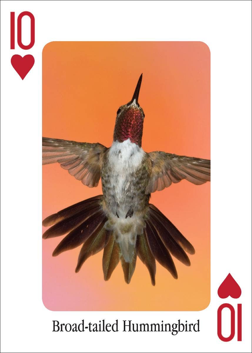 Hummingbirds Playing Cards - Sugar River Shoppe