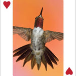 Hummingbirds Playing Cards - Sugar River Shoppe