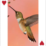 Hummingbirds Playing Cards - Sugar River Shoppe