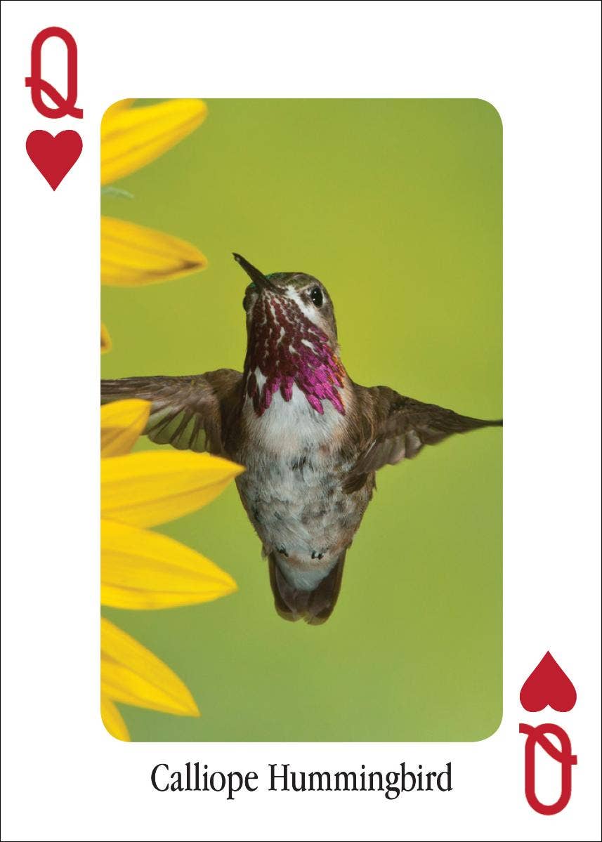 Hummingbirds Playing Cards - Sugar River Shoppe