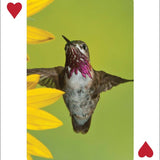 Hummingbirds Playing Cards - Sugar River Shoppe