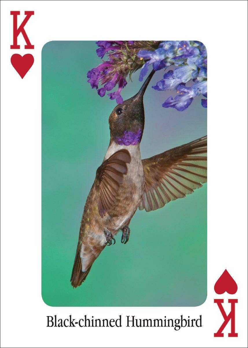 Hummingbirds Playing Cards - Sugar River Shoppe
