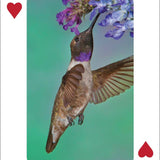 Hummingbirds Playing Cards - Sugar River Shoppe