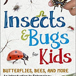Insects & Bugs Book for Kids - Sugar River Shoppe