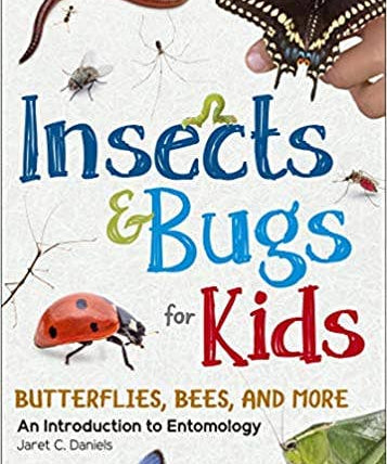 Insects & Bugs Book for Kids - Sugar River Shoppe