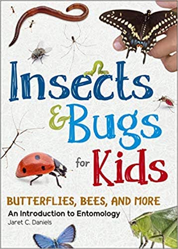 Insects & Bugs Book for Kids - Sugar River Shoppe
