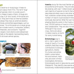 Insects & Bugs Book for Kids - Sugar River Shoppe