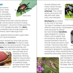 Insects & Bugs Book for Kids - Sugar River Shoppe