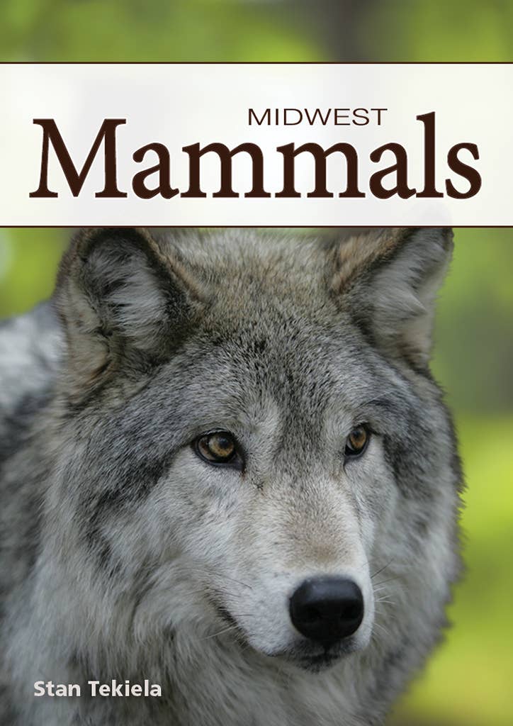 Mammals of Midwest Playing Cards - Sugar River Shoppe