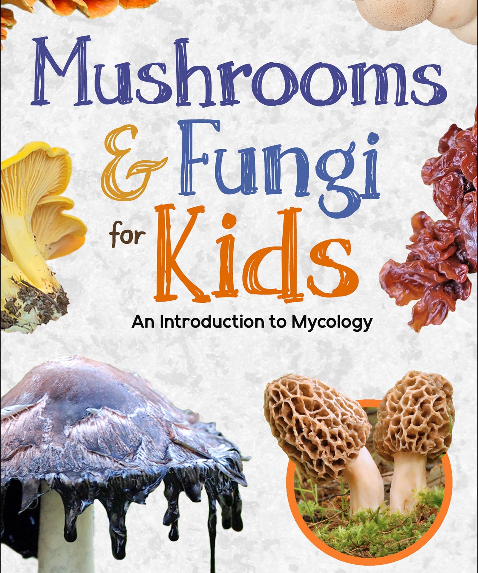 Mushrooms & Fungi for Kids - Sugar River Shoppe