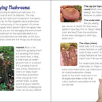Mushrooms & Fungi for Kids - Sugar River Shoppe