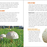 Mushrooms & Fungi for Kids - Sugar River Shoppe