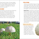 Mushrooms & Fungi for Kids - Sugar River Shoppe