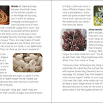 Mushrooms & Fungi for Kids - Sugar River Shoppe