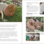Mushrooms & Fungi for Kids - Sugar River Shoppe