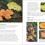 Mushrooms & Fungi for Kids - Sugar River Shoppe