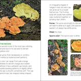 Mushrooms & Fungi for Kids - Sugar River Shoppe