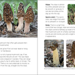 Mushrooms & Fungi for Kids - Sugar River Shoppe