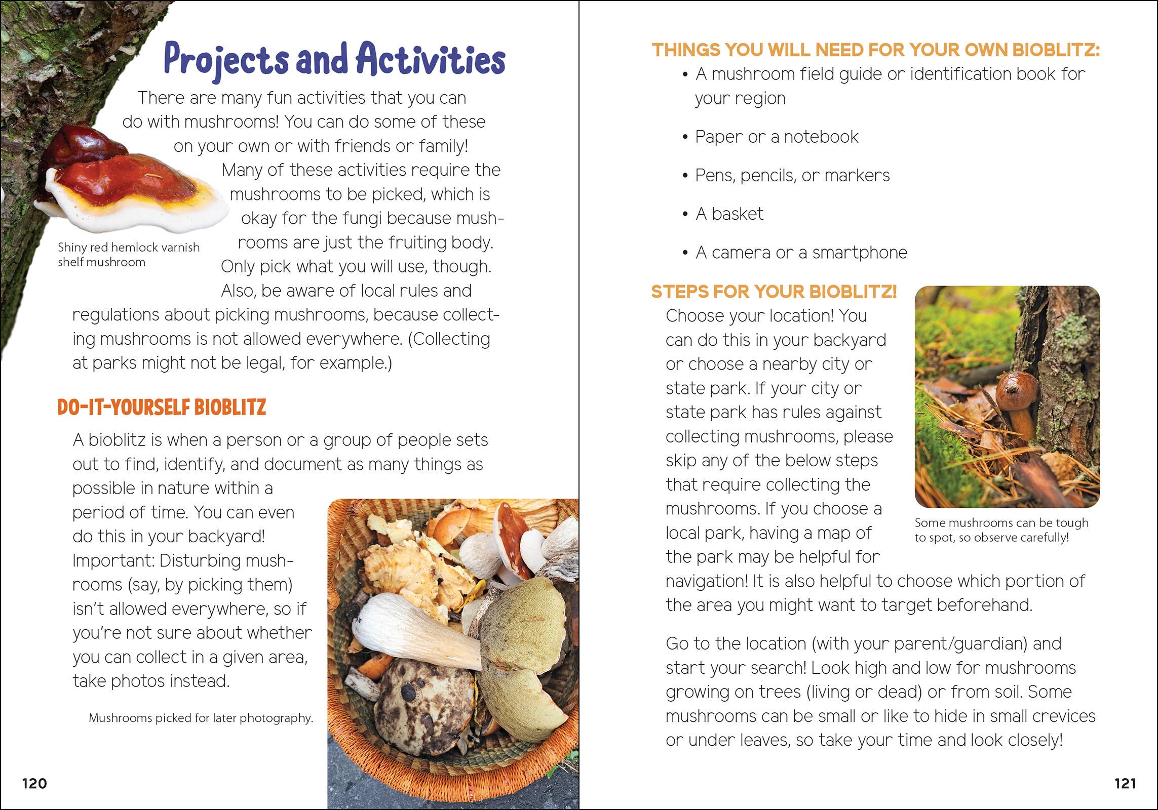 Mushrooms & Fungi for Kids - Sugar River Shoppe