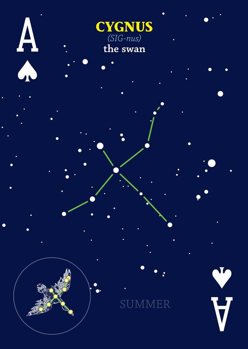 Night Sky Playing Cards - Sugar River Shoppe